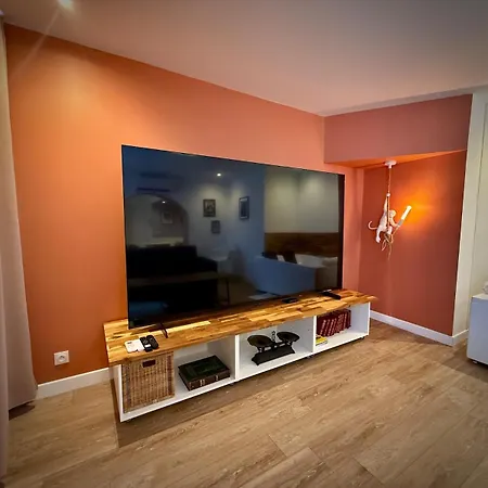 P01 Grand Proche Gare Cinema Jacuzzi Rdc Sur Cour Privative Nancy