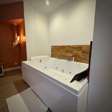 P01 Grand Proche Gare Cinema Jacuzzi Rdc Sur Cour Privative Nancy